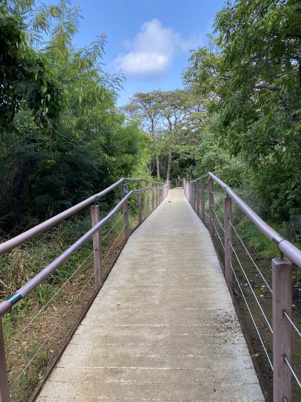 Paved Walkway Construction