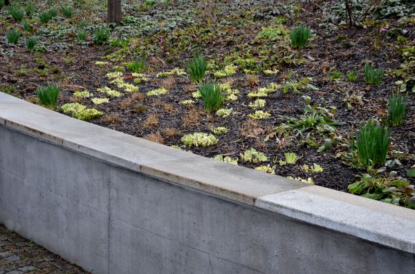 Concrete Wall Construction in Fort Worth