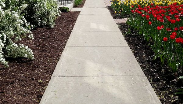 Cost of Sidewalk Slab Replacement in Fort Worth