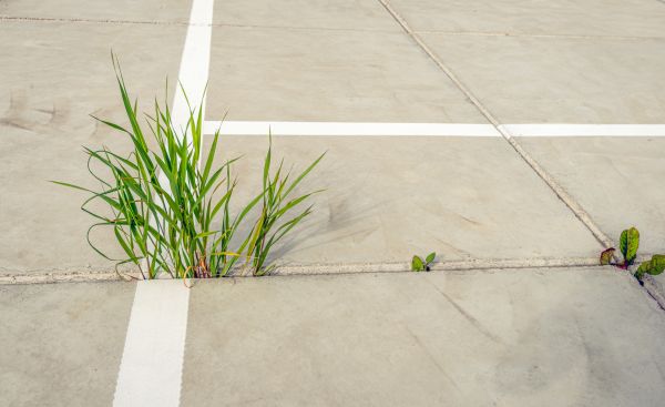 Concrete Parking Installation in Fort Worth