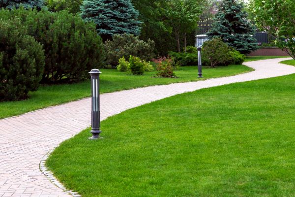Backyard Sidewalk Installation in Fort Worth