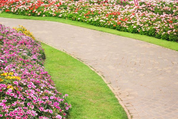 Concrete Walkway Service in Fort Worth