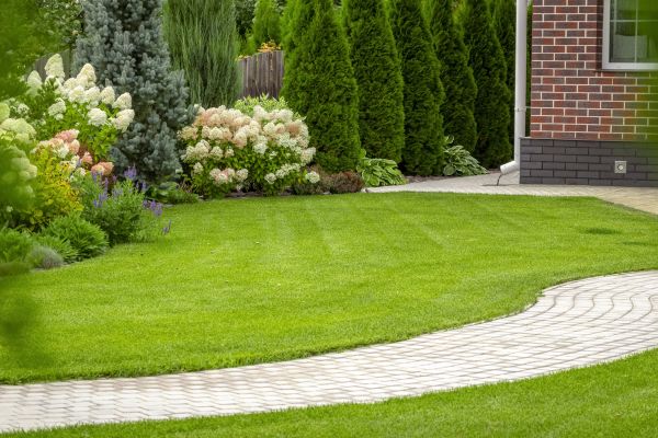 Landscape Walkway Installation in Fort Worth